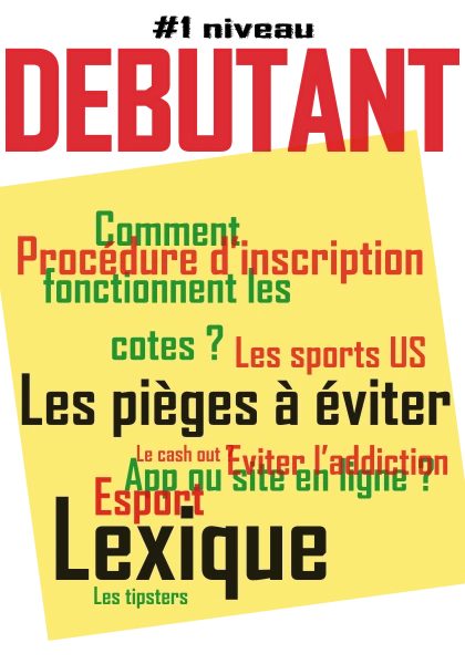 Guide niveau 1 : Débutants